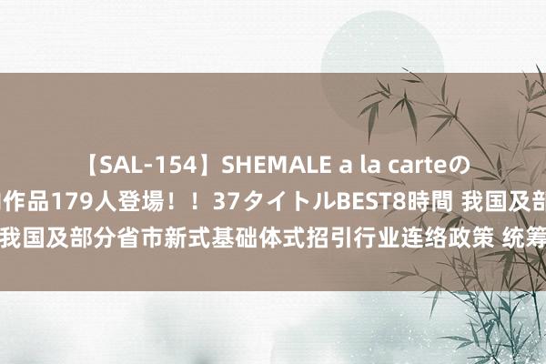 【SAL-154】SHEMALE a la carteの歴史 2 2011～2013 国内作品179人登場！！37タイトルBEST8時間 我国及部分省市新式基础体式招引行业连络政策 统筹鼓动数字基础体式招引