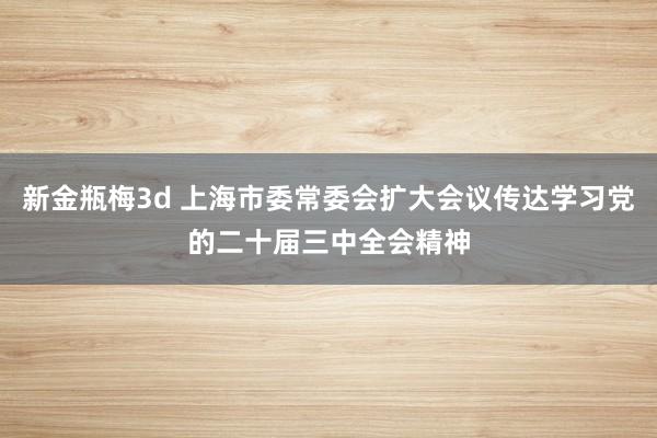 新金瓶梅3d 上海市委常委会扩大会议传达学习党的二十届三中全会精神