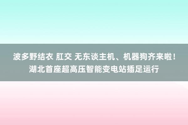 波多野结衣 肛交 无东谈主机、机器狗齐来啦！湖北首座超高压智能变电站插足运行