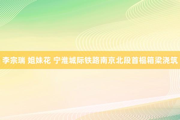 李宗瑞 姐妹花 宁淮城际铁路南京北段首榀箱梁浇筑