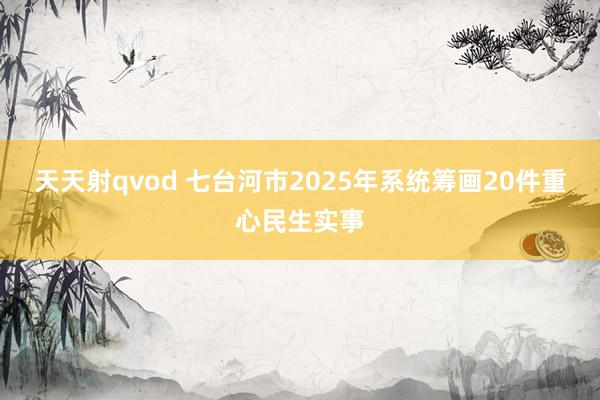 天天射qvod 七台河市2025年系统筹画20件重心民生实事