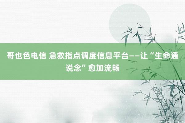 哥也色电信 急救指点调度信息平台——让“生命通说念”愈加流畅