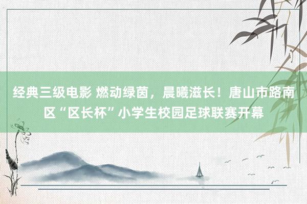 经典三级电影 燃动绿茵，晨曦滋长！唐山市路南区“区长杯”小学生校园足球联赛开幕