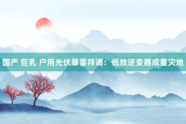 国产 巨乳 户用光伏暴雷拜谒：低效逆变器成重灾地