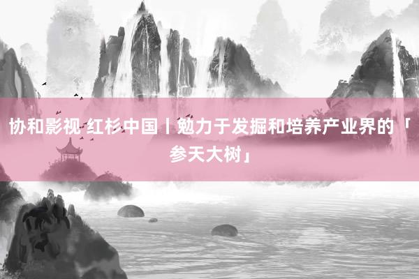 协和影视 红杉中国丨勉力于发掘和培养产业界的「参天大树」