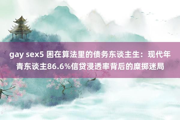 gay sex5 困在算法里的债务东谈主生：现代年青东谈主86.6%信贷浸透率背后的糜掷迷局