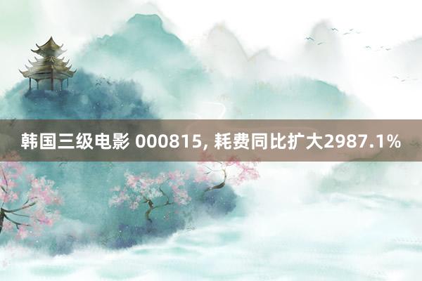 韩国三级电影 000815, 耗费同比扩大2987.1%