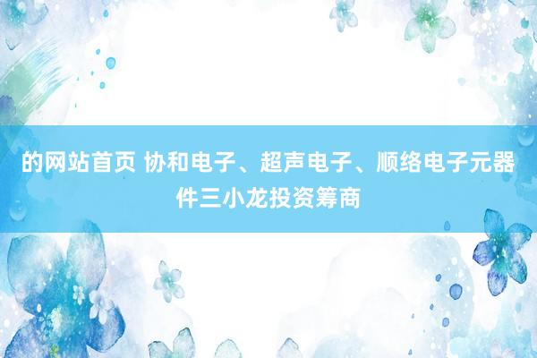 的网站首页 协和电子、超声电子、顺络电子元器件三小龙投资筹商
