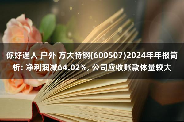 你好迷人 户外 方大特钢(600507)2024年年报简析: 净利润减64.02%, 公司应收账款体量较大