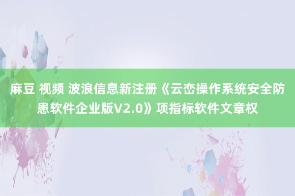 麻豆 视频 波浪信息新注册《云峦操作系统安全防患软件企业版V2.0》项指标软件文章权