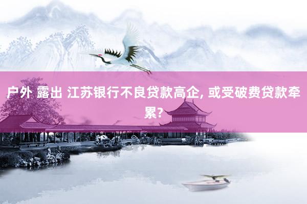 户外 露出 江苏银行不良贷款高企, 或受破费贷款牵累?