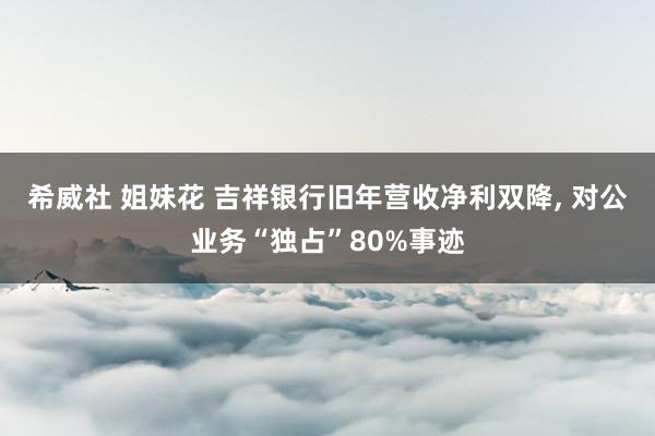 希威社 姐妹花 吉祥银行旧年营收净利双降, 对公业务“独占”80%事迹