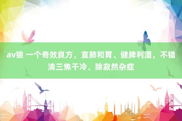 av狼 一个奇效良方，宣肺和胃、健脾利湿，不错清三焦干冷、除寂然杂症