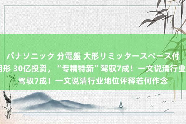 パナソニック 分電盤 大形リミッタースペース付 露出・半埋込両用形 30亿投资，“专精特新”驾驭7成！一文说清行业地位评释若何作念